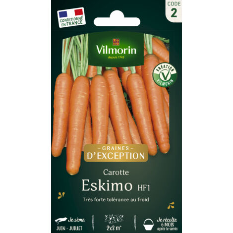 Carotte Eskimo F1 - Graines d'Exception Vilmorin (1/2)