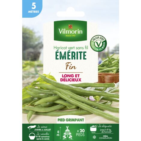 Haricot Emerite – Graines de potager – Période de semis printemps – Variété productive et savoureuse – 5 m de fil – Vilmorin