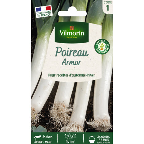 Poireau Armor Vilmorin (1/2)