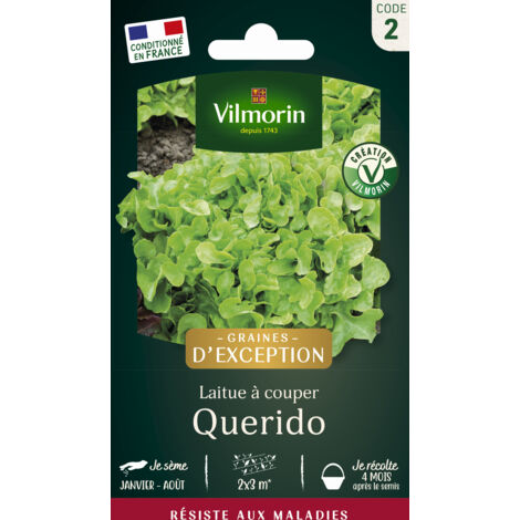 Laitue Querido - Graines d'Exception Vilmorin (1/2)