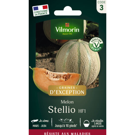 Melon Stellio HF1 - Graines d'Exception Vilmorin (1/2)