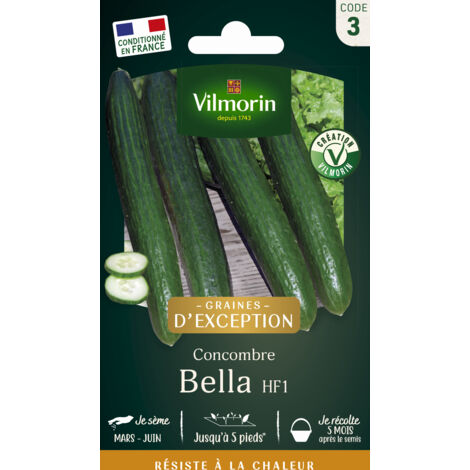 Concombre Bella F1 – Graines de potager parthénocarpique – Haute productivité même par forte chaleur – Résistant aux maladies – Vilmorin