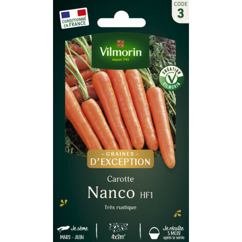 Carotte Nanco F1 - Graines d'Exception Vilmorin (1/2)