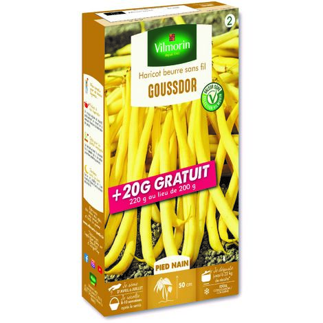 Haricot Nain Beurre Goussdor + 20 g Offert Vilmorin