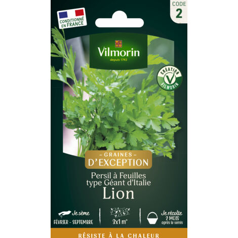 Persil Lion - Graines d'Exception Vilmorin (1/2)