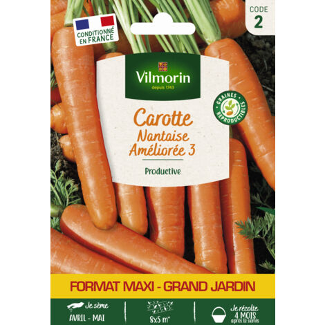 Carotte Nantaise Améliorée 3 - Grand Modèle Vilmorin