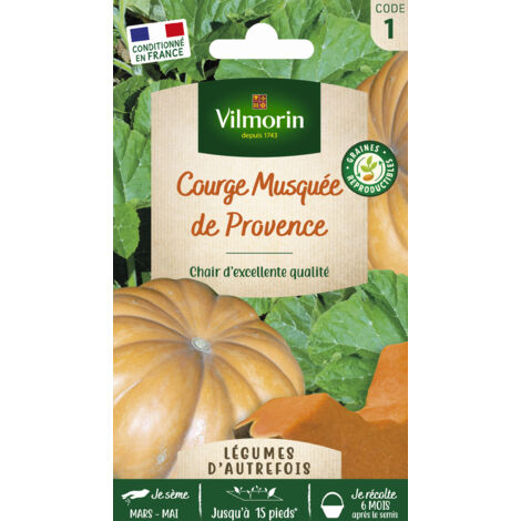 Courge Musquée de Provence - Légumes d'Autrefois Vilmorin (1/2)