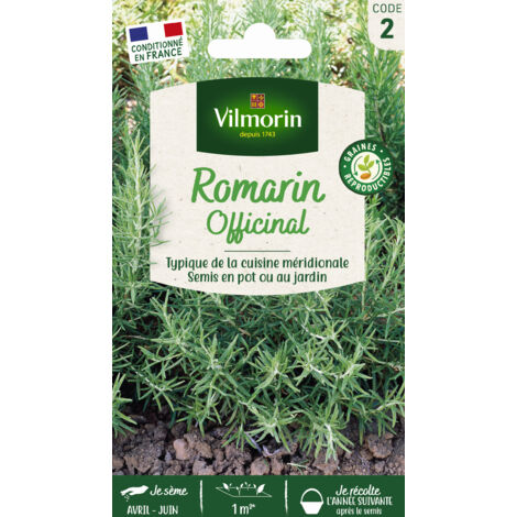 Romarin Officinal Vilmorin (1/2)