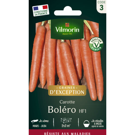 Carotte Boléro F1 - Graines d'Exception Vilmorin (1/2)