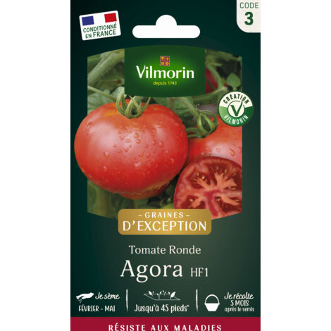 Vilmorin – Tomate Agora F1 – Graines de potager rustiques et précoces – Résistantes aux maladies – Période de semis : mars à mai (1/2)
