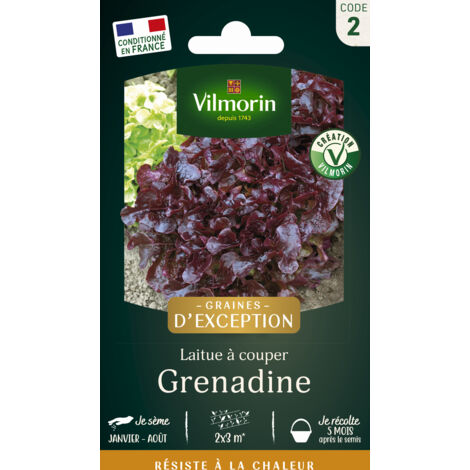 Laitue Grenadine - Graines d'Exception Vilmorin (1/2)