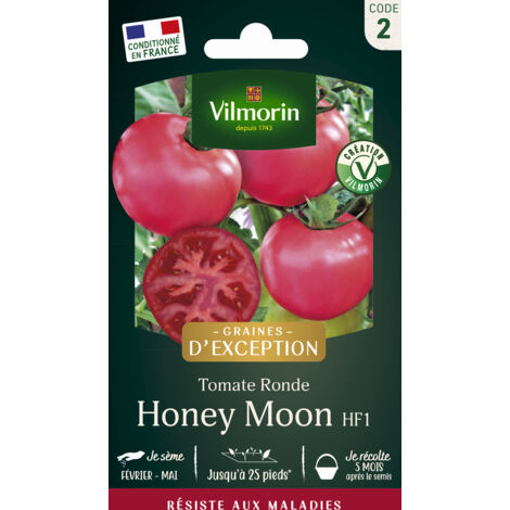 Tomate Honey Moon F1 – Graines hybrides résistantes au mildiou – Fruits charnus de 300 g – Période de semis : mars à avril – Vilmorin