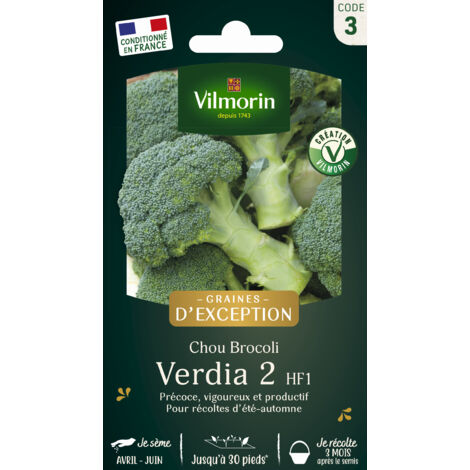 Chou Brocoli Verdia 2 HF1 - Graines d'exception Vilmorin (1/2)
