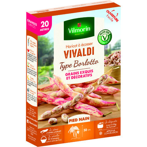 Haricot Nain à Ecosser Vivaldi (type Borlotto) - 20 m Vilmorin