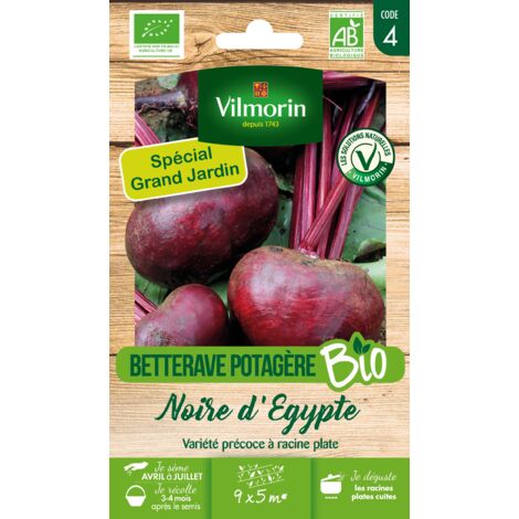 Betterave Noire Plate d'Egypte - BIO - Grand Modèle Vilmorin (1/2)