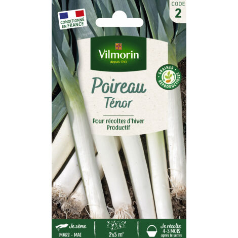 Poireau Ténor Vilmorin (1/2)