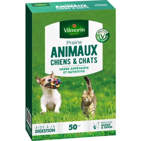 Gazon prairie chiens et chats 500 gr – Exposition soleil – Taux de germination supérieur de 10% – Résistant aux piétinements – Vilmorin