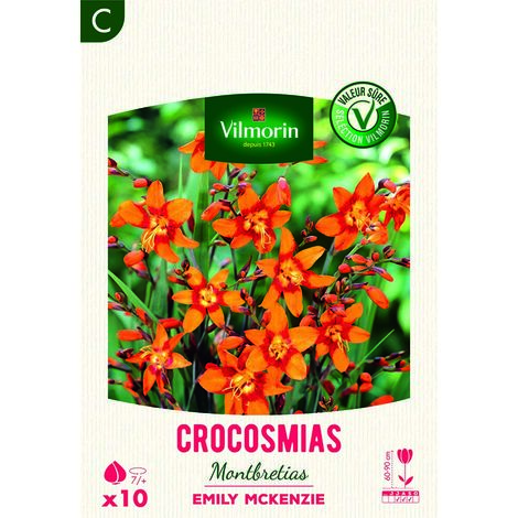 Montbrétia Crocosmia Emily McKenzie (x10) Vilmorin (1/2)