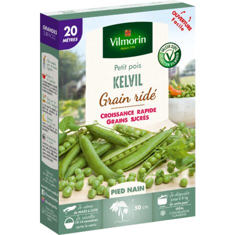Pois Nain à Grain Ridé Kelvil - 20 m Vilmorin (1/3)