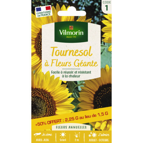 Tournesol à Fleur Géante + 50% Offert Vilmorin
