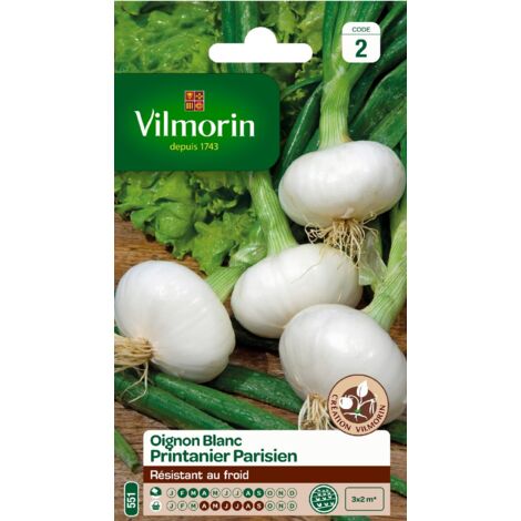 Oignon Blanc Printanier Parisien Vilmorin
