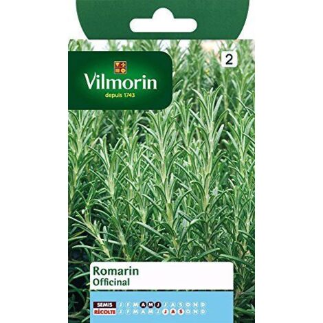 Graines De Romarin Officinal Vilmorin - Sachet Pour Jardin, Herbe Aromatique Pour Cuisine