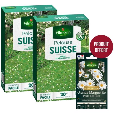 Pelouse Suisse - Paquerettes (x2) + Grande Marguerite Perle des Prés Offerte Vilmorin (1/3)