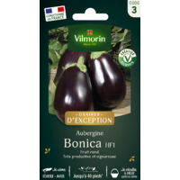 Aubergine Bonica HF1 - Graines d'Exception Vilmorin