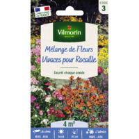 Vilmorin – Fleurs vivaces pour rocaille – Mélange de fleurs pour floraison échelonnée – Couverture dès mars jusqu'à fin été – 4 m²