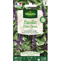 Basilic Blue Spice - Cuisine du Monde Vilmorin