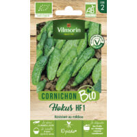 Vilmorin - Cornichon Hokus Bio
