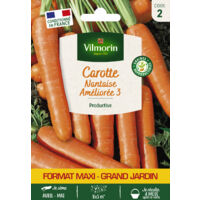 Carotte Nantaise Améliorée 3 - Grand Modèle Vilmorin