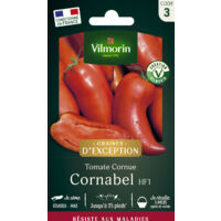 Vilmorin – Tomate Cornabel F1 – Graines de potager – Exposition ensoleillée – Semis de mars à mai – Récolte de juillet à septembre