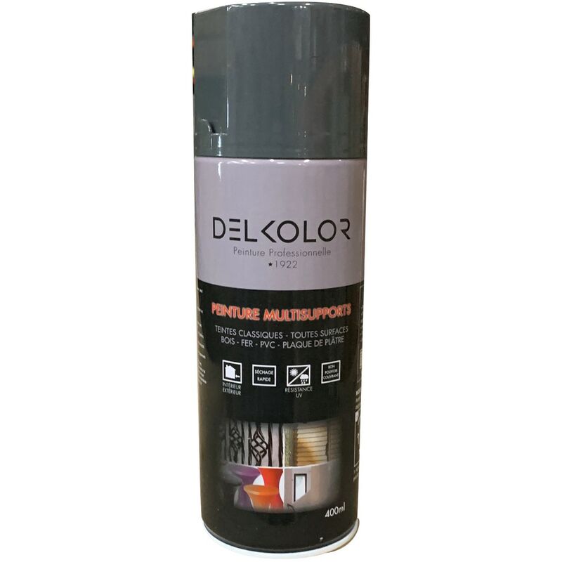 Delkolor Peinture en Aérosol - Couleurs RAL - 400ml  Finition: Brillant - Couleur: RAL 9007 Aluminium gris
