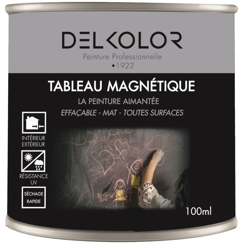 Delkolor Peinture Tableau Magnétique Noir 100ml Couleur: Noir