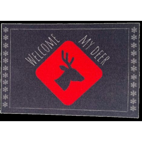 Tapis Intérieur Anti Dérapant et Absorbant Quebec 40X60cm (1/4)