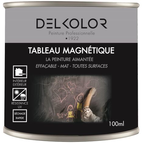 Delkolor Peinture Tableau Magnétique Noir 100ml  Couleur: Noir