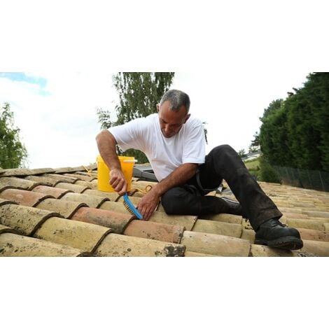 Sika Peinture Imperméable anti-fuites Toitures inclinées 1L  Couleur: TERRE CUITE - Conditionnement: 4L