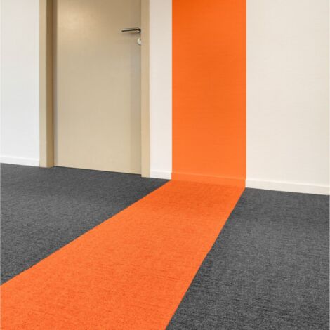 Dalle Moquette Plombantenull