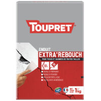 Enduit de rebouchage Extra'Rebouch Toupret poudre Conditionnement: 1KG