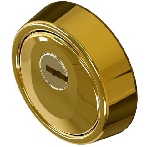 Escudo Cilindro Alta Seguridad Lince Acero  ORO