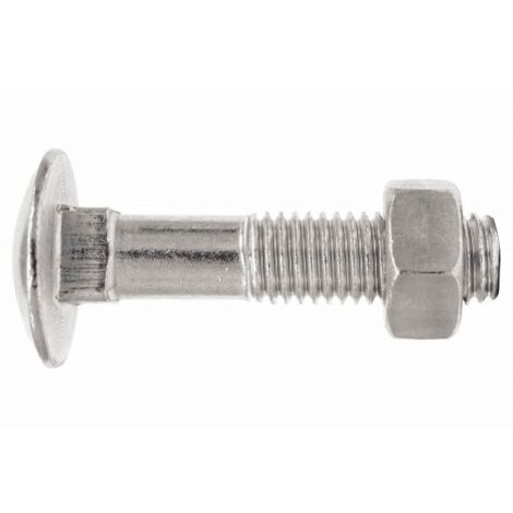 BLISTER-TOR.DIN603+TUERCA DIN934.ZINC 06X040 ( 15 u.)