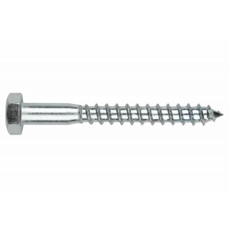 BLISTER-DIN 571-TORNILLO BARRAQUERO 10X080 ( 15 u.)