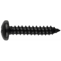 Tornillos auto-perforantes - roscados en chapa y PVC - Tornillos para chapa - cabeza bombée negra - ranura PH 4,8 x 19 - Caja de 250