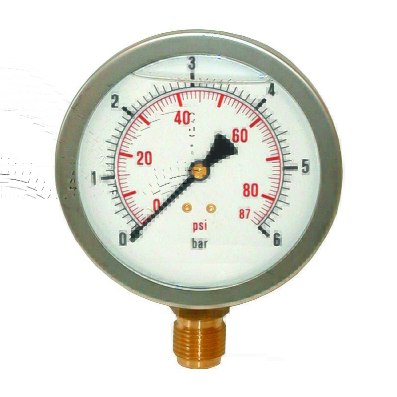 RIEGLER Manometer 80mm Ungeeicht | Druckmesser Mit G1/4 Anschluss Hinten