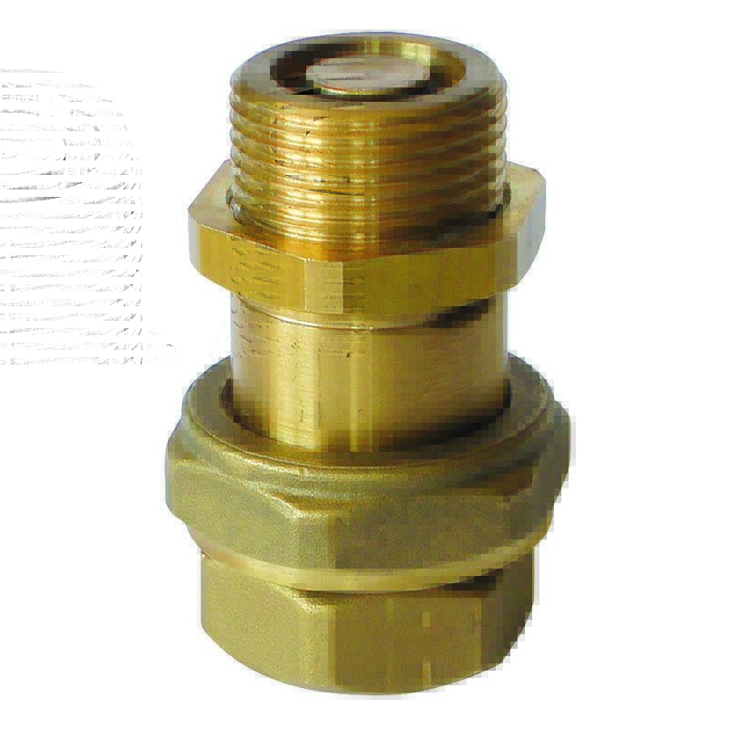 Clapet Anti-retour Double Check Watts 9D-M2 3/4" - Neuf, En Acier Inox Et Laiton