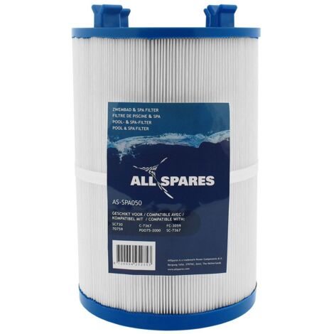 Filtre pour spa SC730 / 70759 / C-7367 (1/4)