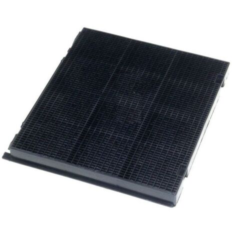 Indesit Filtre à charbon (1/4)