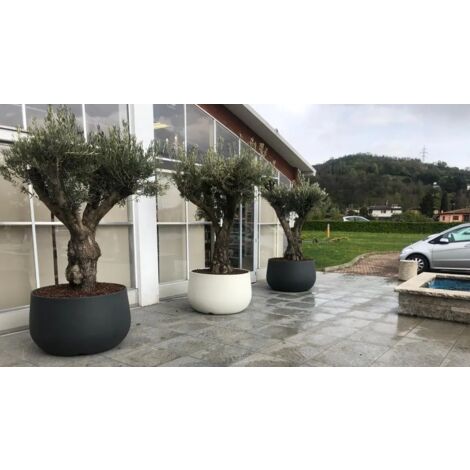 Jardinière en résine rotomoulée 84cm – Couleur blanc nacré – Résistante au gel jusqu'à -60° – Pour grandes plantes
