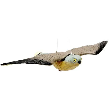 Faucon dissuasif pour oiseaux – modèle réaliste (1/2)